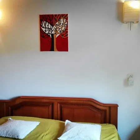 Alloggio in famiglia Albizzia House *