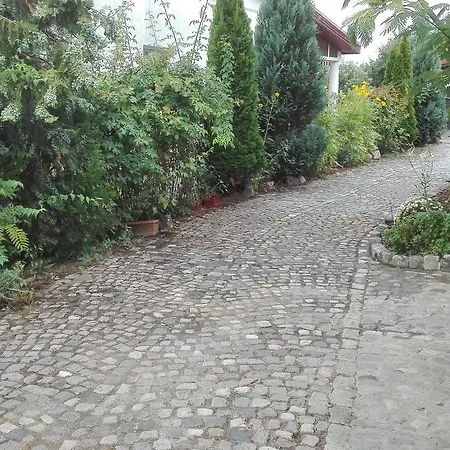 Albizzia House * Bucarest